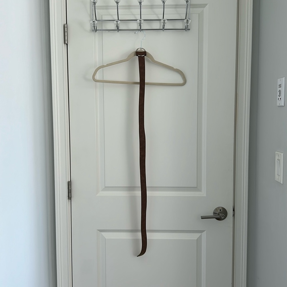 Brown Belt with Silver Buckle